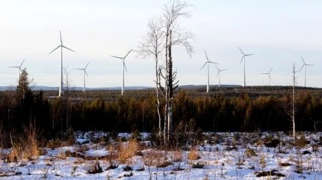 I maj ska 80 modulhus stå klara i Koler för att inrymma vindkraftsarbetare.