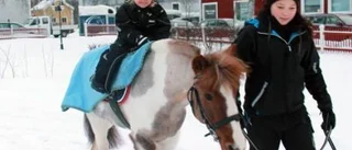 En snöig skyltsöndag
