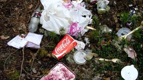 Varje år kastar vi svenskar närmare 9 000 ton skräp på marken. Det kan ta väldigt många år för naturen att bryta ner skräpet, beroende på vilket material det är. (Arkivbild)
