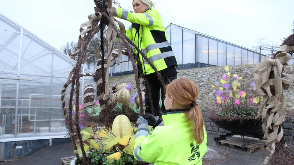 Påskpyntare. Senaste tiden har Helena Bergström, högst upp, och Jennie Dahlqvist på Norrköpings kommuns växthusanläggning, ägnat sig åt att påskpynta.