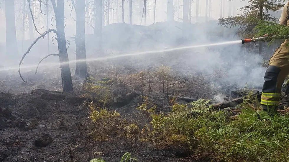 Branden i skogarna i närheten av Regna är nu under kontroll. Kvarstår gör ett stort eftersläckningsarbete.