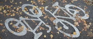 Förslaget: Bygg cykelväg mellan orterna