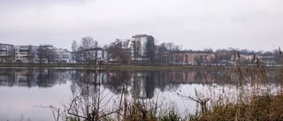 Förslaget: En småbåtshamn i centrum