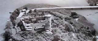 Stegeborg från ovan 1947
