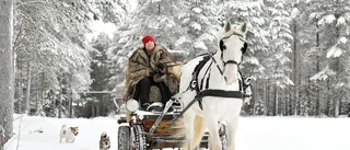 Namnsdagsbarnet firar jul med hästkrafter