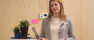 Trähusbyggande på hög nivå