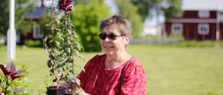 Norsjös trädgårdsmarknad växer