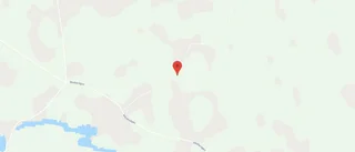 Ny ägare till skogsmark i Boliden i september