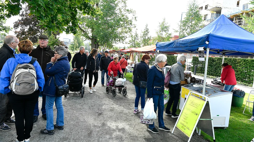 Skribenterna vill se serveringar och folkliv i stadsparken redan i sommar.