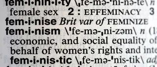 Debatt: Grön feminism behövs i studentlivet
