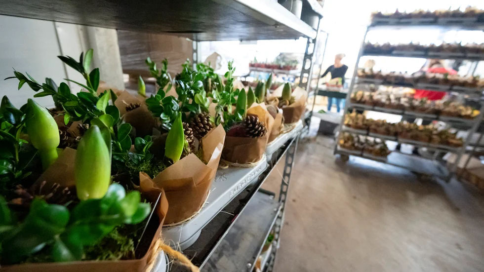 En 52-årig man har kastat en stor trähylla med blommor och glas mot en väktare.