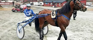 Lindqvist har ett treåringslöfte