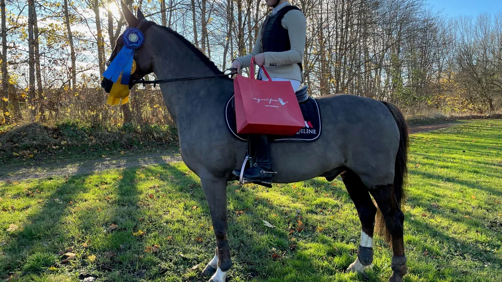 VORF:s Ebba Nylén och ponnyn Sligo Touch of Queeney kvalade in till SM.