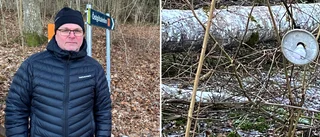 Här vill föreningen i Borghamn satsa på ny belysning