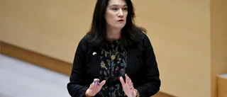 Fortsatt ointresse för Sveriges närområde
