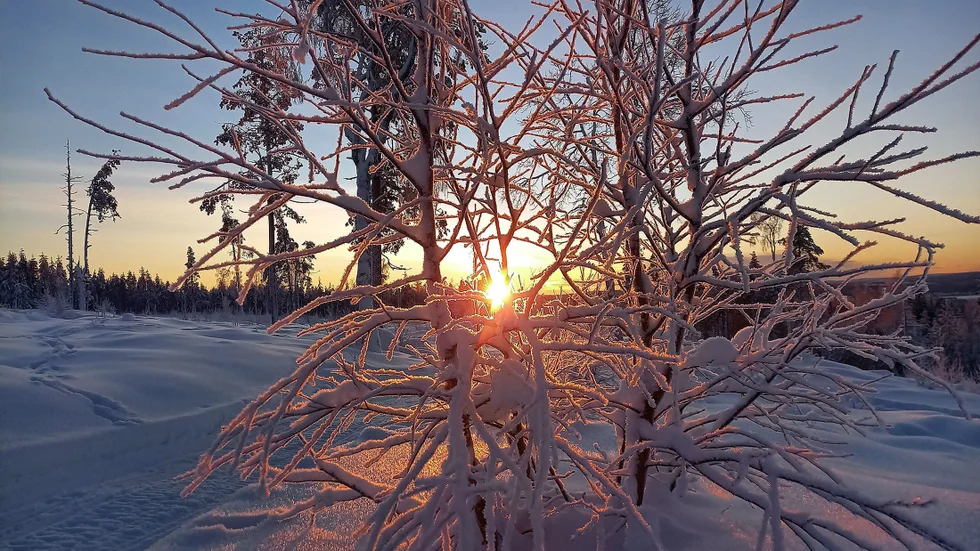 Morgonsol på Mjösjöberget.