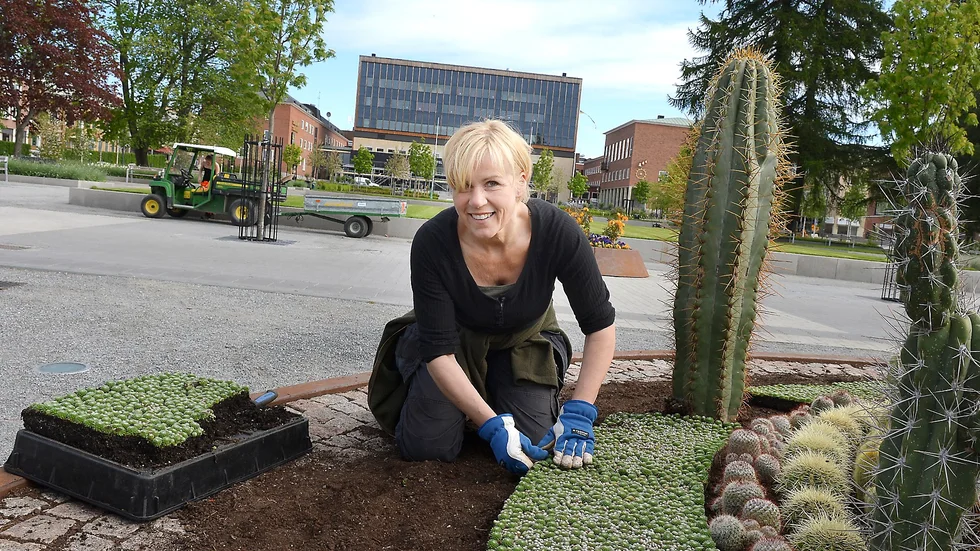 Kan göra ont. ”Det farliga är att kaktusarna kan lossna och lägga sig i jorden för då kan man råka sätta sig på dem”, säger Maria Mikaelsson. Foto: Jeanette Lövgren.