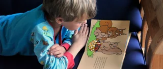 299 skolor får satsa på Läslyftet
