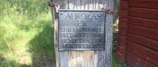 Har haft caféet i tio år