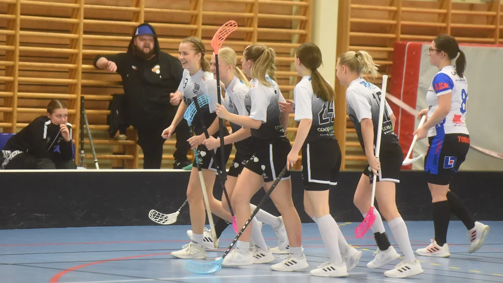 Vimmerby IBK dam spelar för att säkra nytt kontrakt i division ett.
