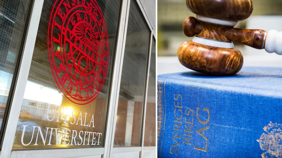 De två studenterna har gjort sig skyldiga till plagiat. Det anser såväl universitetets disciplinnämnd som förvaltningsrätten.