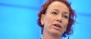 MP: Utvisningar kan inte stoppas omedelbart