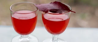 Minusräntan giftig cocktail för framtidens pensioner