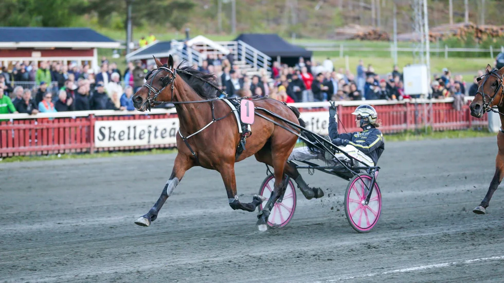 Segergest av Hanna Olofsson.