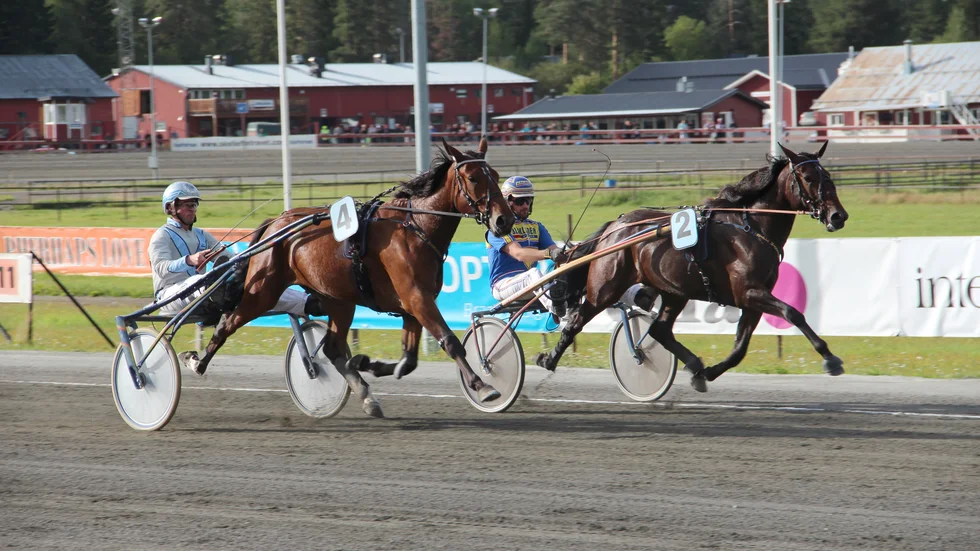 Premielopp. Tea Party (nr 4) med lånekusken Jami Mikkonen och Margareta Amok (nr 2) med Christian Månsson i vagnen blev godkända i sitt premielopp på Skelleftetravet. Båda hästarna noterade 1.32,1/2 160 meter.