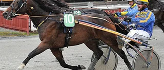 Tre Skelleftesegrar i Lycksele
