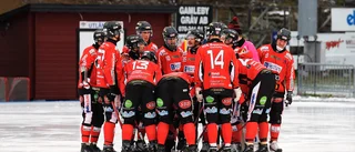 Så mycket inbringade Grindslanten till Tjust Bandy