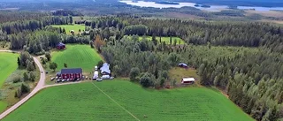 Fyrtio år med luft under vingarna