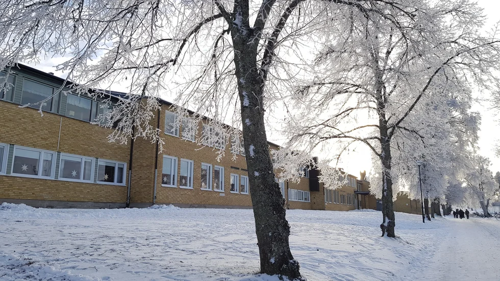 Efter en händelse på Alléskolan anmäler Anna Jangbrand,  rektor för årskurserna 4-6 ett tillbud om fysiskt våld. 