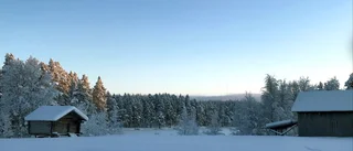 Läsarbilden: Krispig och kylslagen decemberdag