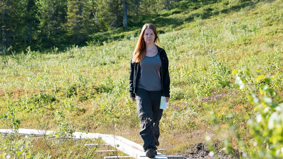 Genom projektet rustas rustas vandringsleder i kommunen upp, med till exempel nya spänger över myarar och blöta partier. ”Lederna skyltas upp också”, säger Gisela Åberg som leder projektet.