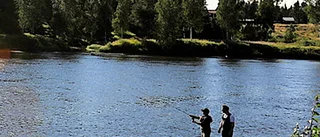Förvalta fisket så att våra älvdalar blomstrar