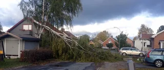 Stormen Roar: Över 10 000 personer var utan el i länet