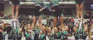 Medaljregn för Skellefteå Cheer – skördade stora framgångar på DM