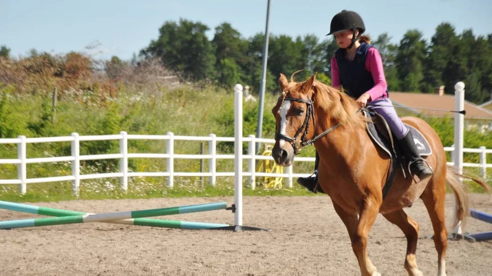 Galopp. Under ridlägret har flera olika rörelser introducerats.