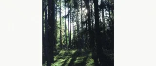Folkvang