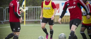 Polsk import trivs i Skellefteå