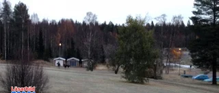 Älg attackerade hundägare