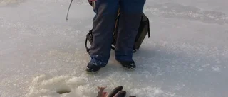 Rödingfiske lockade många