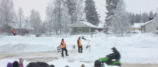 Hundratals på årets gräsklippartävling
