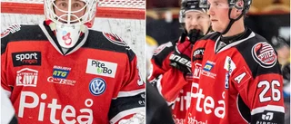 Efter dubbla skadesmällarna – så är status i Piteå Hockey inför juluppehållet