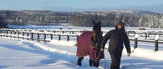Bodenprofilens härliga dag – tränar hästarna i minus 29: "Ut och njut"