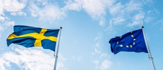 Insändare: Ge EU en ny gnista