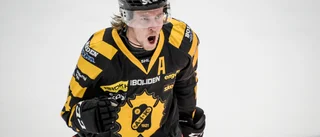Ett gigantiskt hjärta av stor betydelse