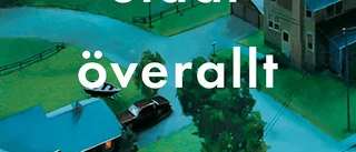 Bokrecension: Om livsval och mödrars kärlek