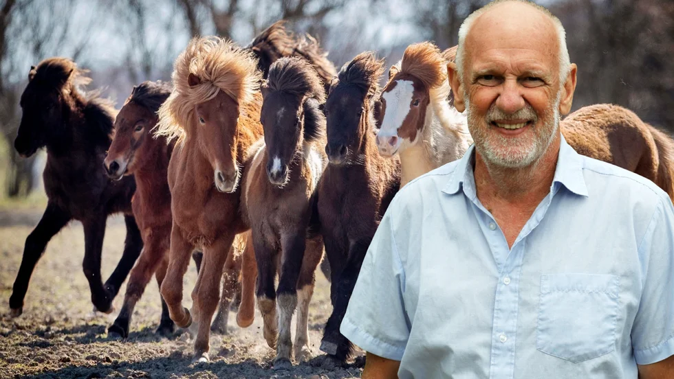 Liksom andra däggdjur är människan ett flockdjur, även om vi ofta agerar som om vi vore individualister. Men vi behöver en grupptillhörighet för att överleva, skriver Lasse Övling i dagens krönika.